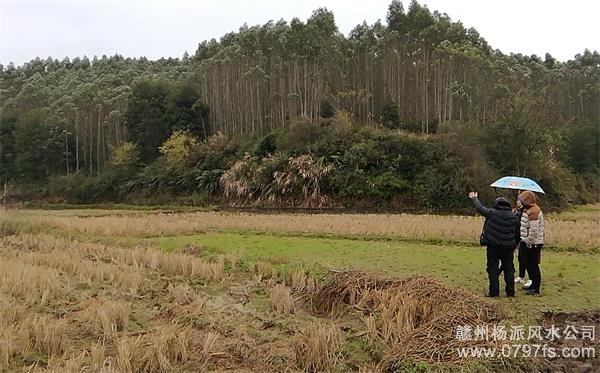 北海市陈老师带着爱徒寻龙点穴